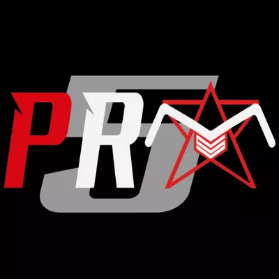 Professional Five Star Moving