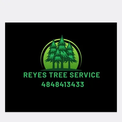 Reyes tree Service