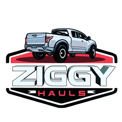 Ziggy Hauls