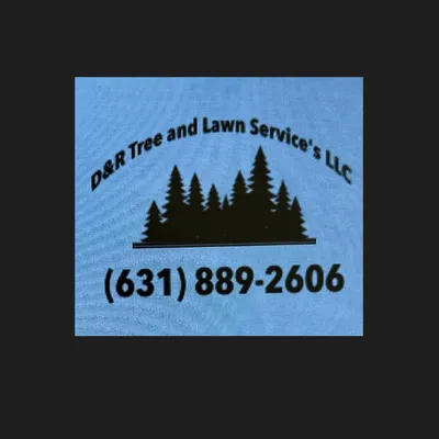 D&R Tree and Lawn Services LLC