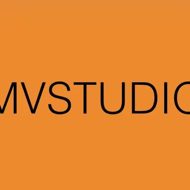 MV Studio - Social Media and Content Marketing