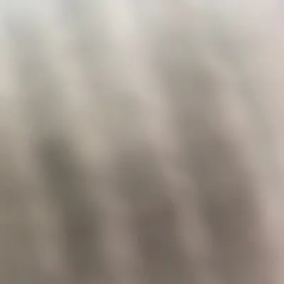 Zappy