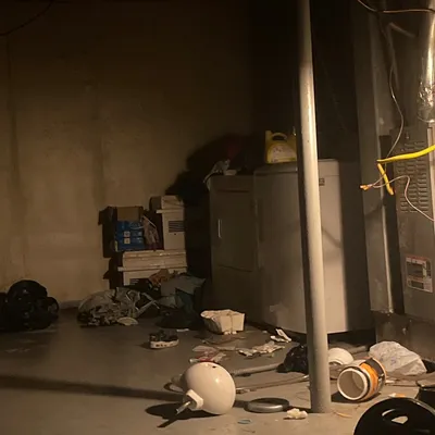 Sammy junk removal