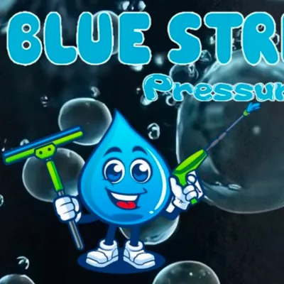 Blue Streak Pressure Washing