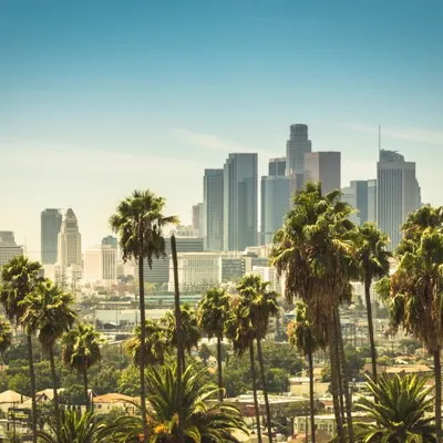 LA Concrete Proessionals
