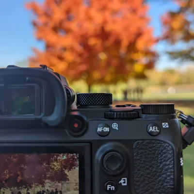SFH Photography