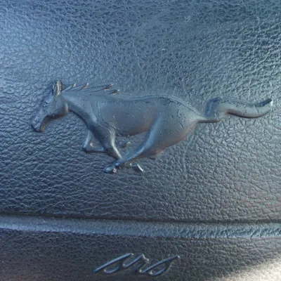 stang plumbing