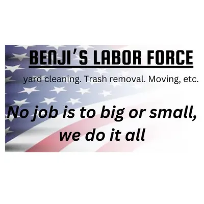Benjis labor force