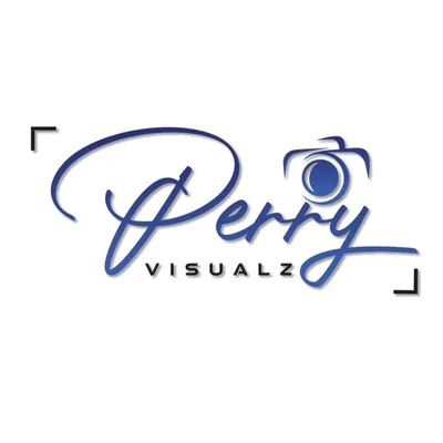 PerryVizualz