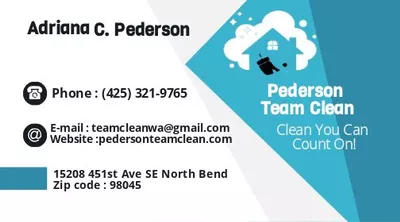 PedersonteamcleanLLC