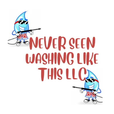 Never Seen Washing Like This, LLC