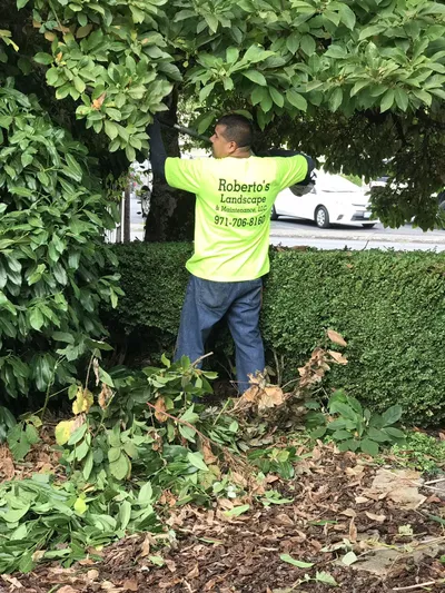 Roberto’s Landscape & Maintenance, LLC