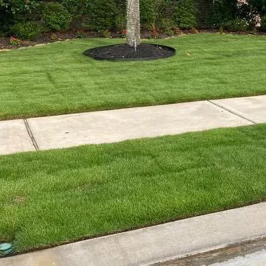 Gonzalez Family Landscaping