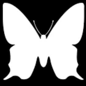Mariposa Cleaning Service