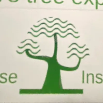 Osi tree experts