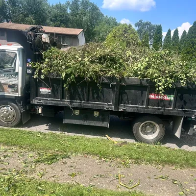 Cruz canas landscaping & remodeling corp
