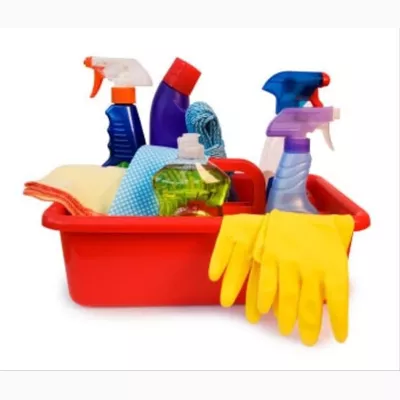 Theresa Maid Services LLC