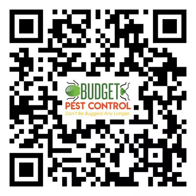 Budget Pest Control Inc