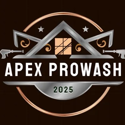 Apex ProWash