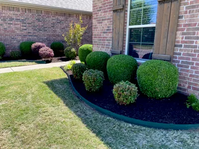 M&G LAWN AND LANDSCAPE