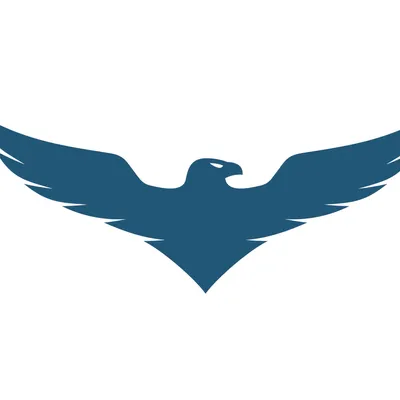 Eagle Hauling and Junk Solutions