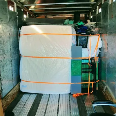 Top Dawg Movers