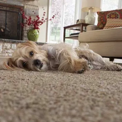 Metro Carpet And More, LLC