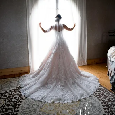 Nicole Hollenkamp Portrait Studio, LLC.
