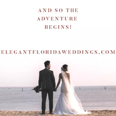 The Efficient  Officiant Reverend James J Zito III