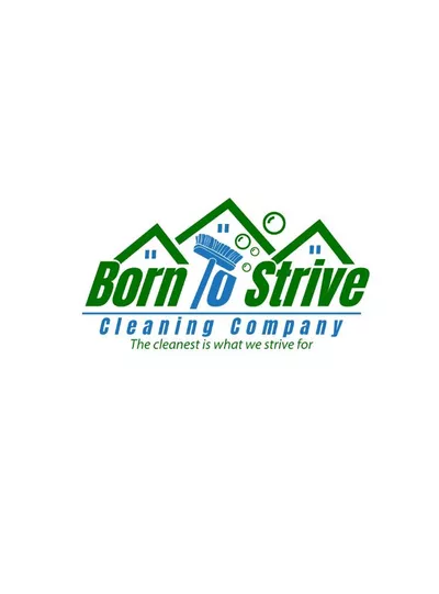 Born To Strive Cleaning Company