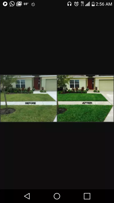 SparkLawn