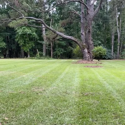 Tree City Landscape LLC
