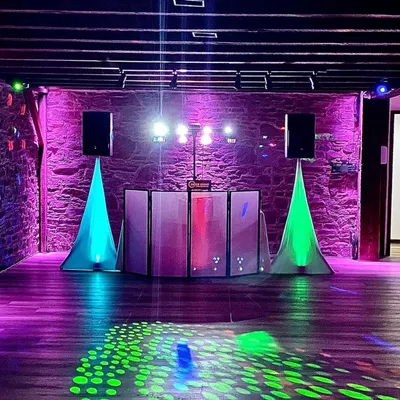 Zebra Frequencies DJs