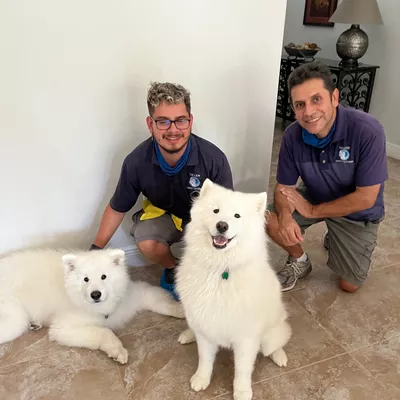 The Lion Carpet, Tile, and Upholstery Cleaning