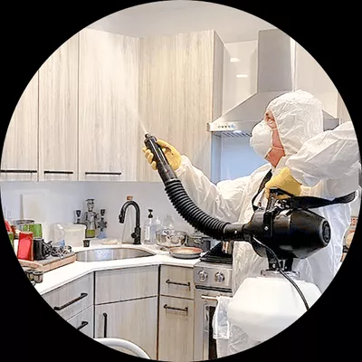 handyman/all cleaner services