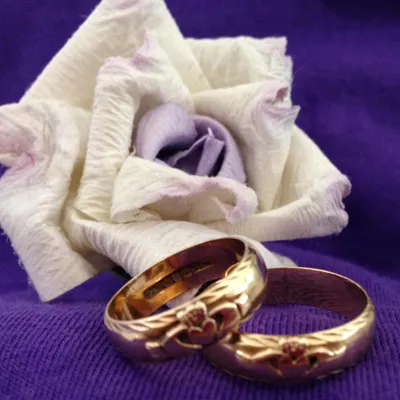 Weddings by Birdy