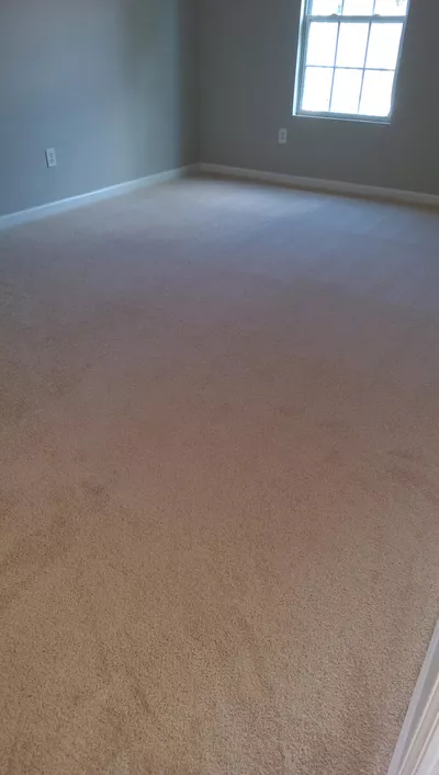 C'vinci Carpet Works