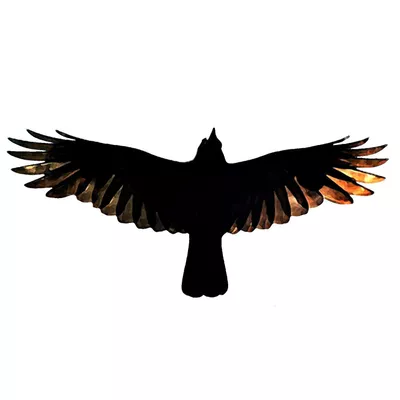 BlakBurd Enterprises