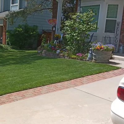 Moore Mature Lawn Care