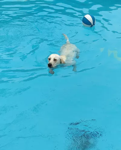 Family Pool Service and Repair
