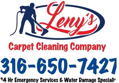 Lenyscarpetcleaning