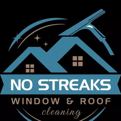 No Streaks Window & Roof Cleaning