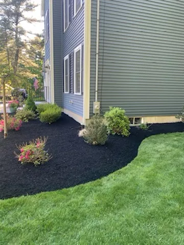 Parada Landscaping