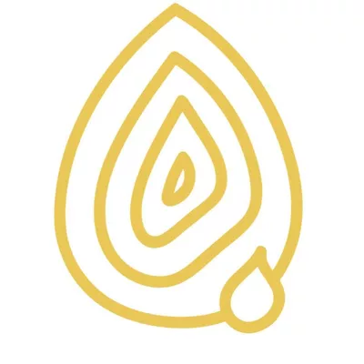 Venezia Luxury Services LLC