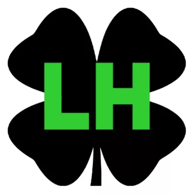 Lucky Home Solutions
