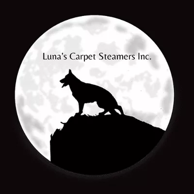 LUNA  CARPET STEAMERS