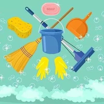 Fernanda cleaning services
