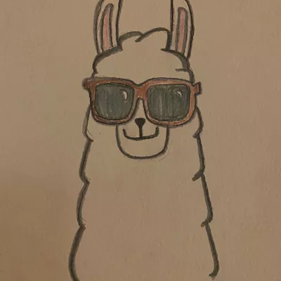 Llama Home care