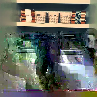 The Organize Boss