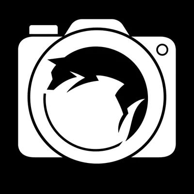 Dancing Wolf Media